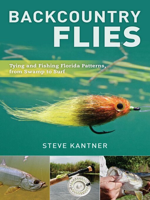 Cover image for Backcountry Flies